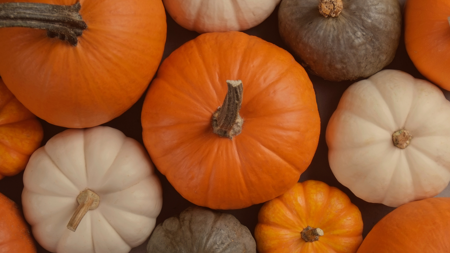 Frutas y Verduras de Temporada en Noviembre