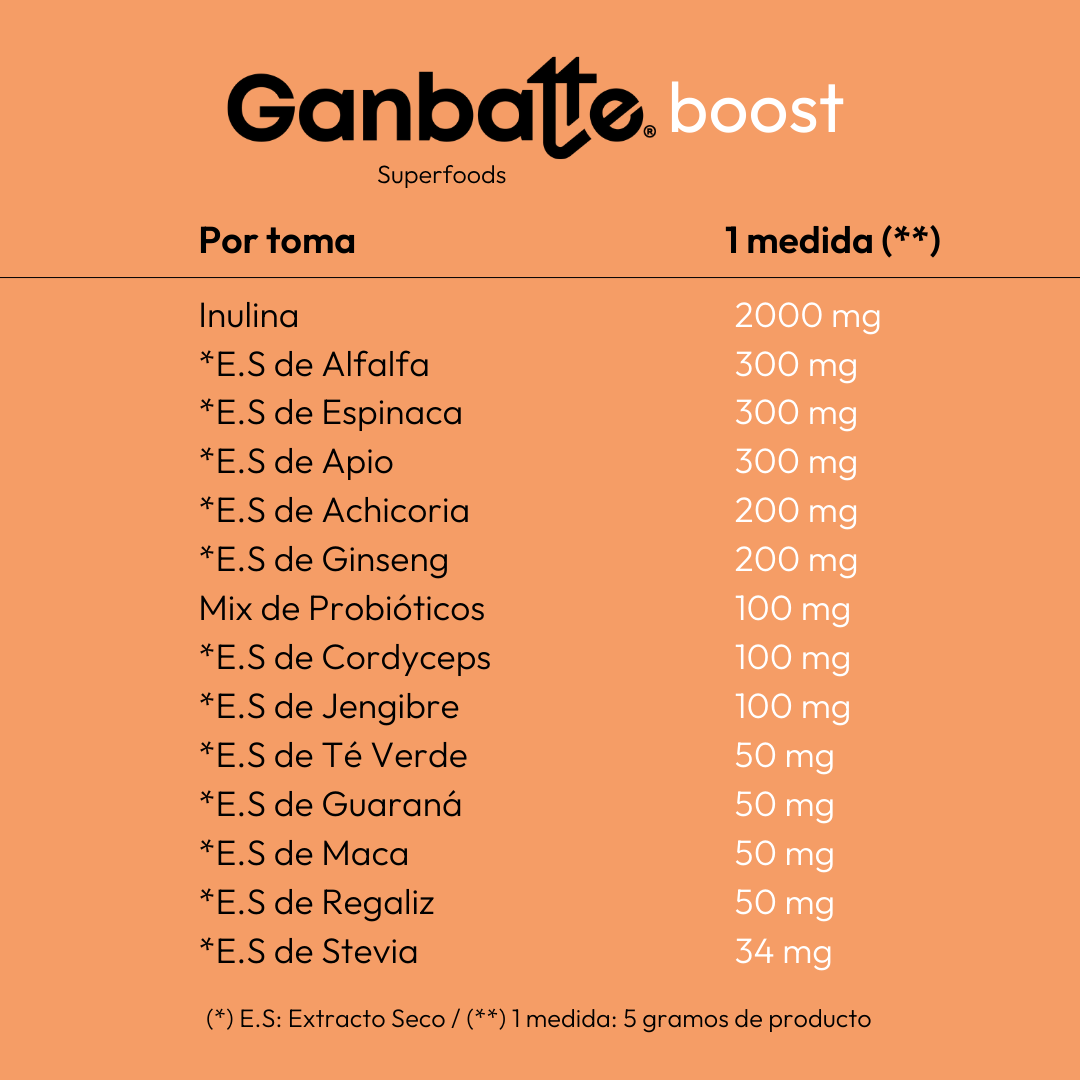 tabla nutricional ganbatte boost